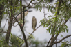 PHGE_2016_01695.jpg