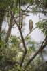 PHGE_2016_01699.jpg