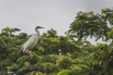 PHGE_2016_01709.jpg