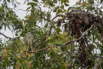 PHGE_2016_01711.jpg