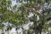 PHGE_2016_02007.jpg