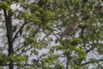 PHGE_2016_02009.jpg