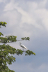 PHGE_2016_02060.jpg