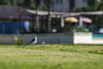 StarCity_2021_00010.jpg