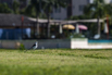 StarCity_2021_00011.jpg