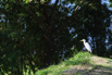 StarCity_2021_00136.jpg