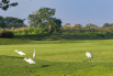 StarCity_2021_02660.jpg