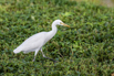 PHE_Golf_2022_00203.jpg