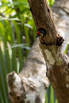 PHE_Golf_2023_00114.jpg