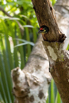 PHE_Golf_2023_00132.jpg