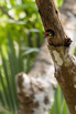 PHE_Golf_2023_00140.jpg