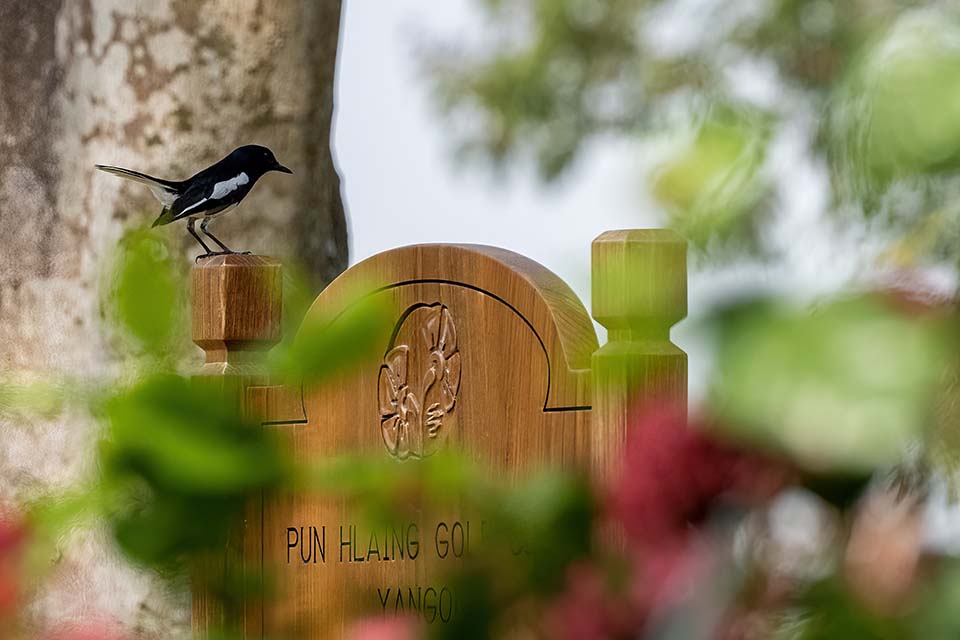 PHE_Golf_2023_00179.jpg