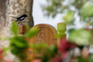 PHE_Golf_2023_00179.jpg