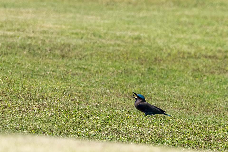 PHE_Golf_2023_00361.jpg