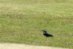 PHE_Golf_2023_00361.jpg