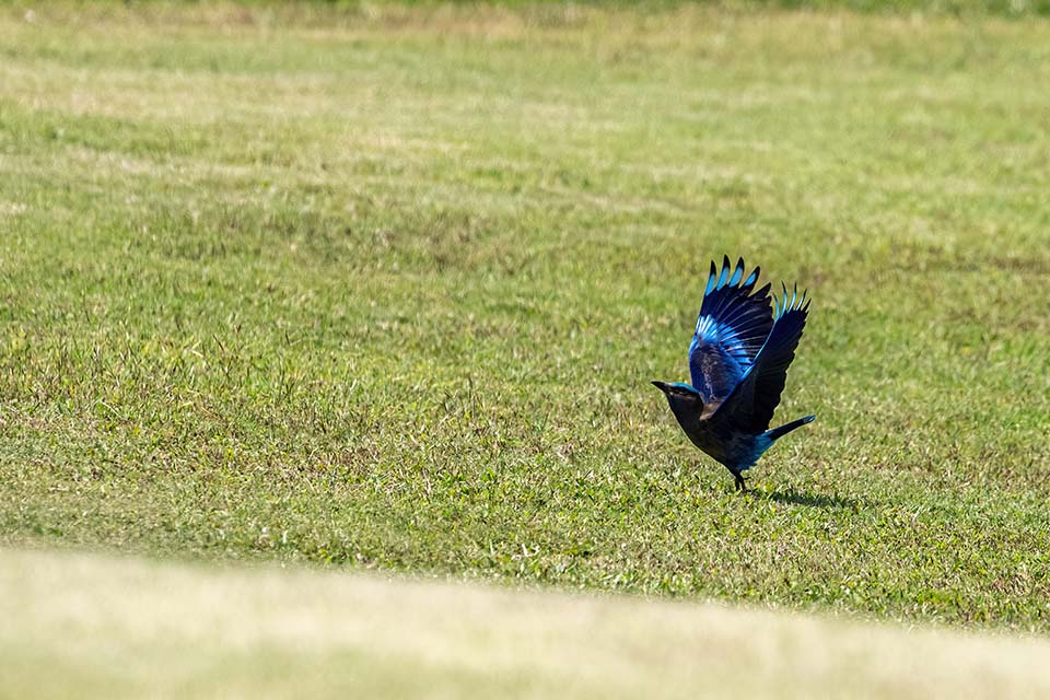 PHE_Golf_2023_00364.jpg