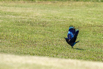 PHE_Golf_2023_00364.jpg