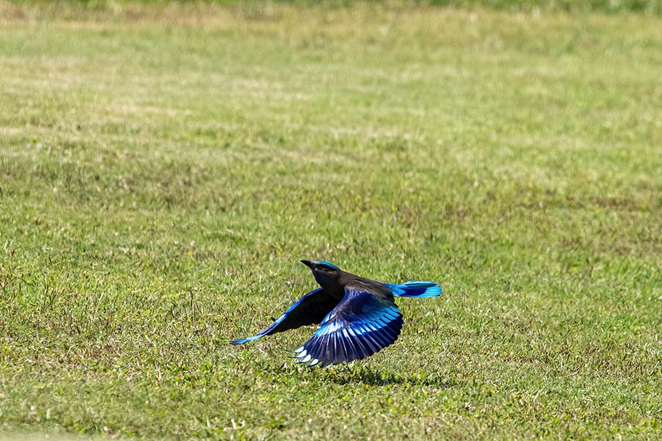 PHE_Golf_2023_00365.jpg