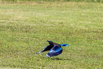 PHE_Golf_2023_00365.jpg