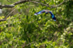 PHE_Golf_2023_00405.jpg