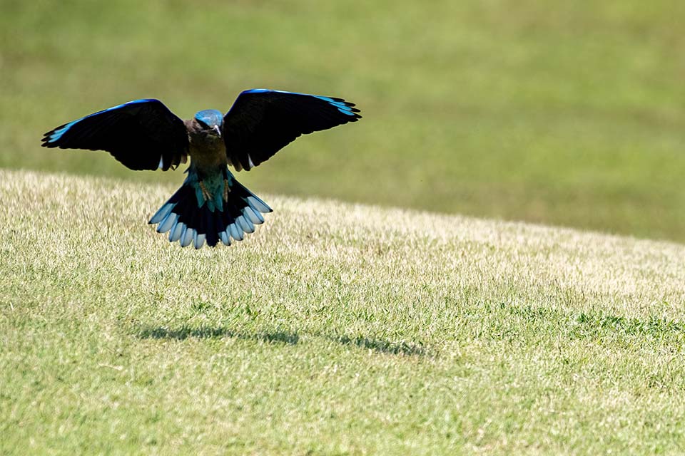 PHE_Golf_2023_00419.jpg