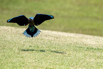 PHE_Golf_2023_00419.jpg