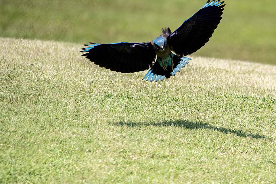 PHE_Golf_2023_00422.jpg