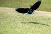 PHE_Golf_2023_00422.jpg