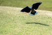PHE_Golf_2023_00423.jpg