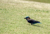PHE_Golf_2023_00425.jpg