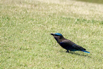 PHE_Golf_2023_00428.jpg