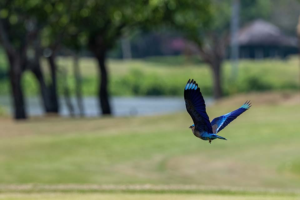 PHE_Golf_2023_00491.jpg