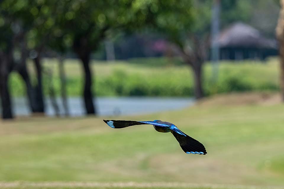 PHE_Golf_2023_00492.jpg