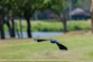 PHE_Golf_2023_00492.jpg