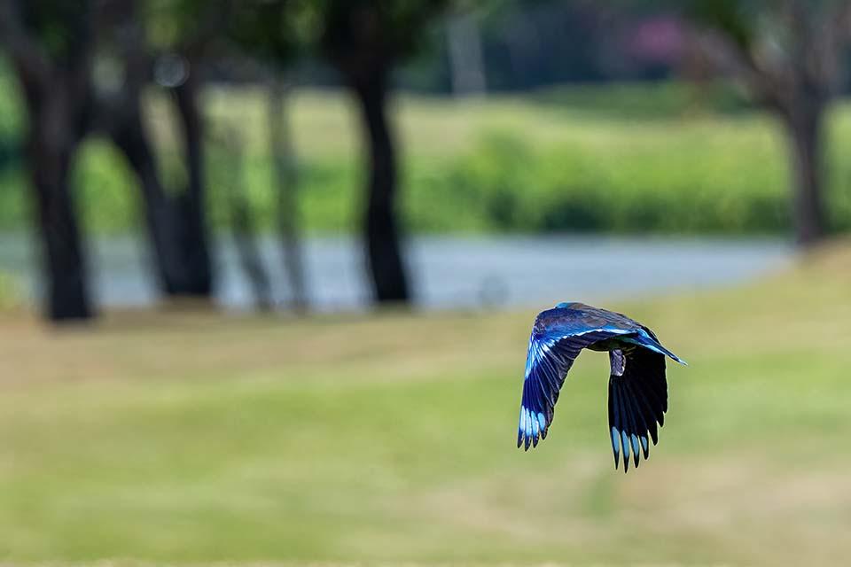 PHE_Golf_2023_00493.jpg