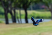 PHE_Golf_2023_00494.jpg