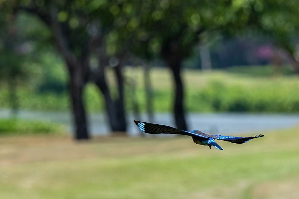 PHE_Golf_2023_00495.jpg