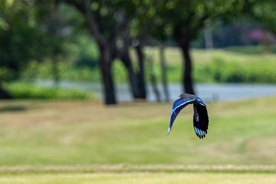 PHE_Golf_2023_00496.jpg