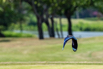 PHE_Golf_2023_00496.jpg
