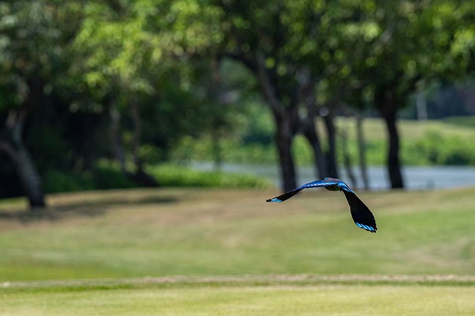 PHE_Golf_2023_00499.jpg