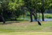 PHE_Golf_2023_00499.jpg