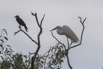 PHGE_2016_01526.jpg