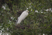 PHGE_2016_01528.jpg