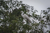 PHGE_2016_01529.jpg