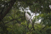 PHGE_2016_01530.jpg