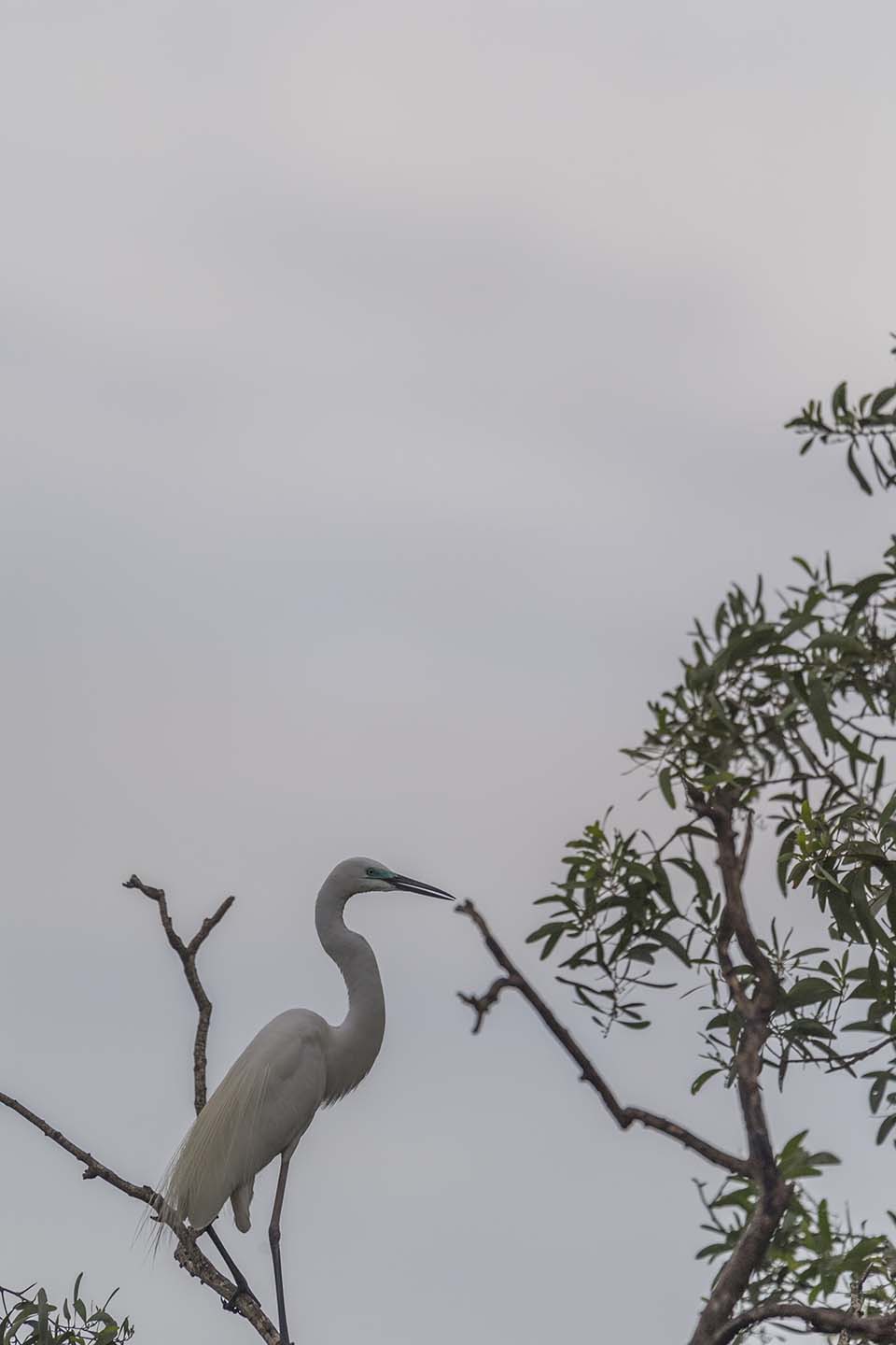 PHGE_2016_01535.jpg