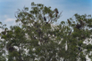 PHGE_2016_01536.jpg