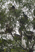 PHGE_2016_01538.jpg