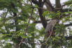 PHGE_2016_01542.jpg