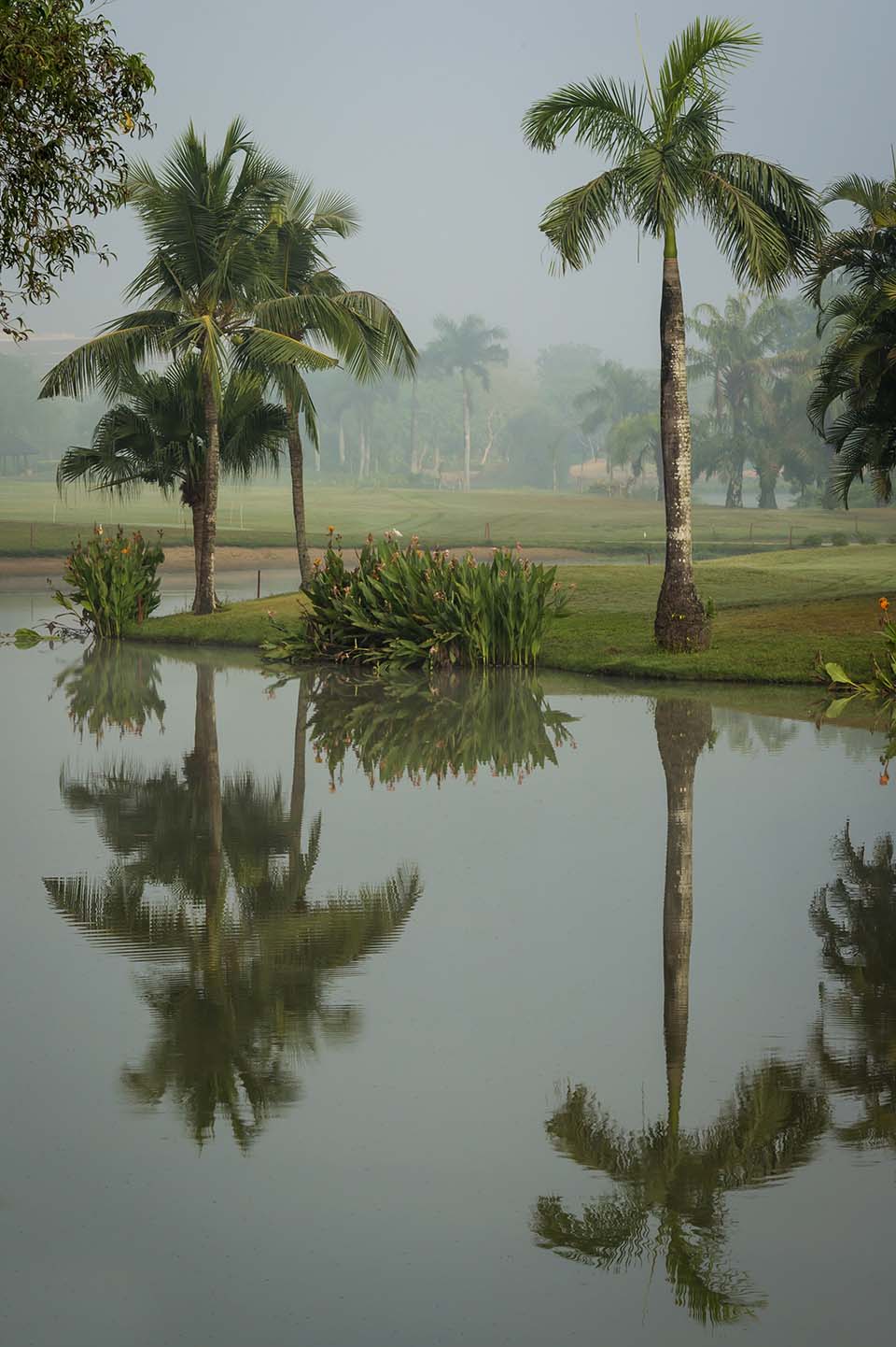 PHGE_2015_00040.jpg